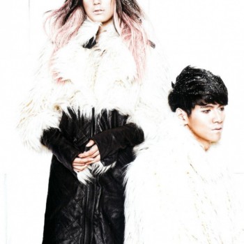imagebam.com
