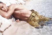 imagebam.com