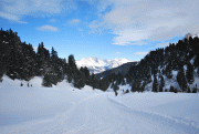 a6c41223119394.gif