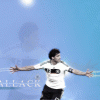 11c87d26683762.gif
