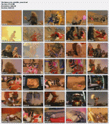 imagebam.com