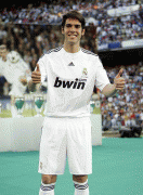 fe03f440717243.gif