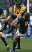baca0344753791.gif