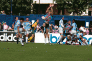 7087f647315653.gif