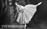 Anna Pavlova 0cbb6b4734753