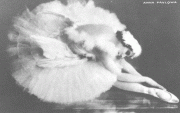 Anna Pavlova F8e49f4734761