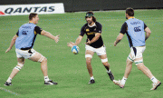 7d906a47770271.gif