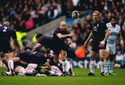 88194b56077494.gif