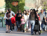Jennifer Lopez - Christmas Eve at California Adventure