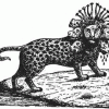 imagebam.com