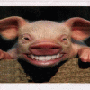 free image host