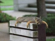 63b1ca8204365.gif